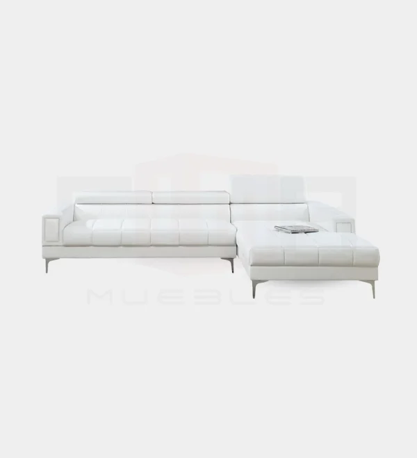 Sectional Sofa Set